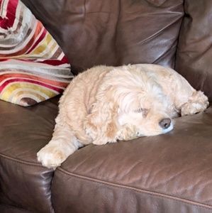 Meet your Posher, Deserie